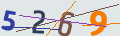 verifycode